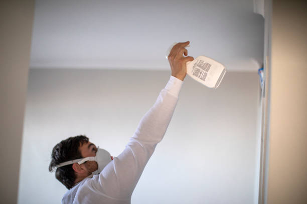 Best Localized Mold Remediation (e.g., coastal areas, humid climates) in Vla Park, IL