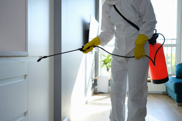 Best Health and Safety Mold Remediation in Vla Park, IL
