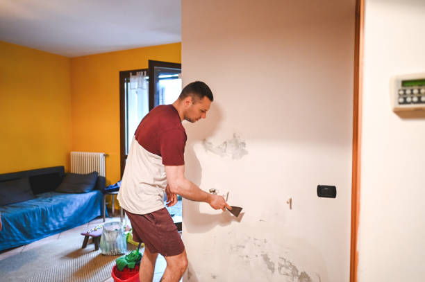 Best Bathroom Mold Remediation in Vla Park, IL